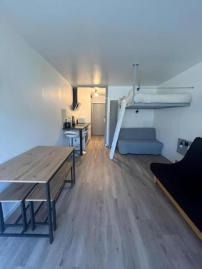 Studio cosy au pied des pistes